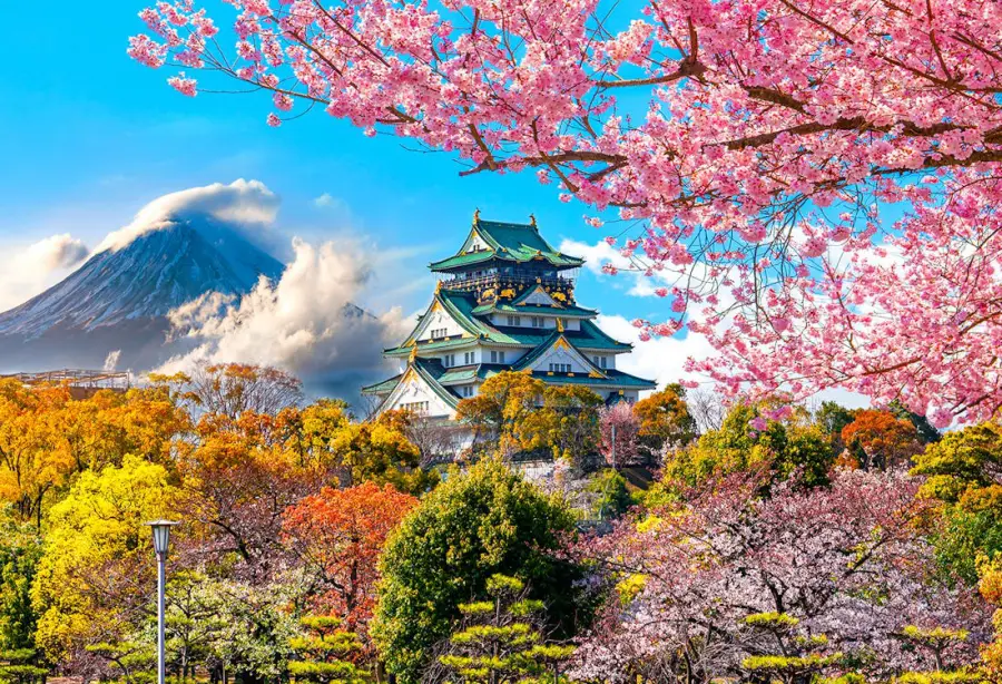 Japonya Kültür Turları