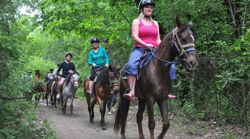 KAZDAĞLARI ATLI SAFARİLER